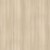 nj-acacia-light-6823